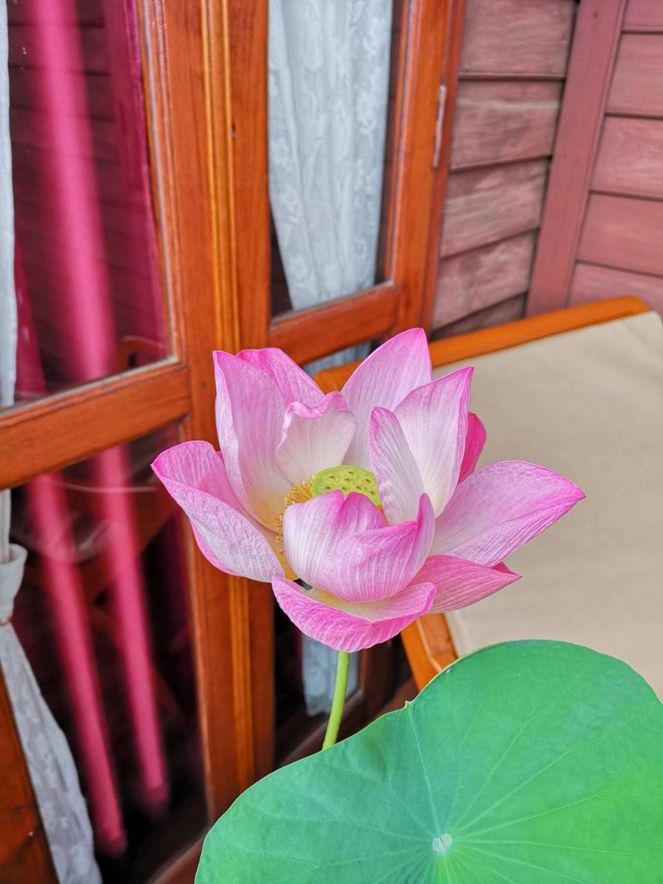 Baan Sithepaban Guesthouse Phitsanulok Ngoại thất bức ảnh