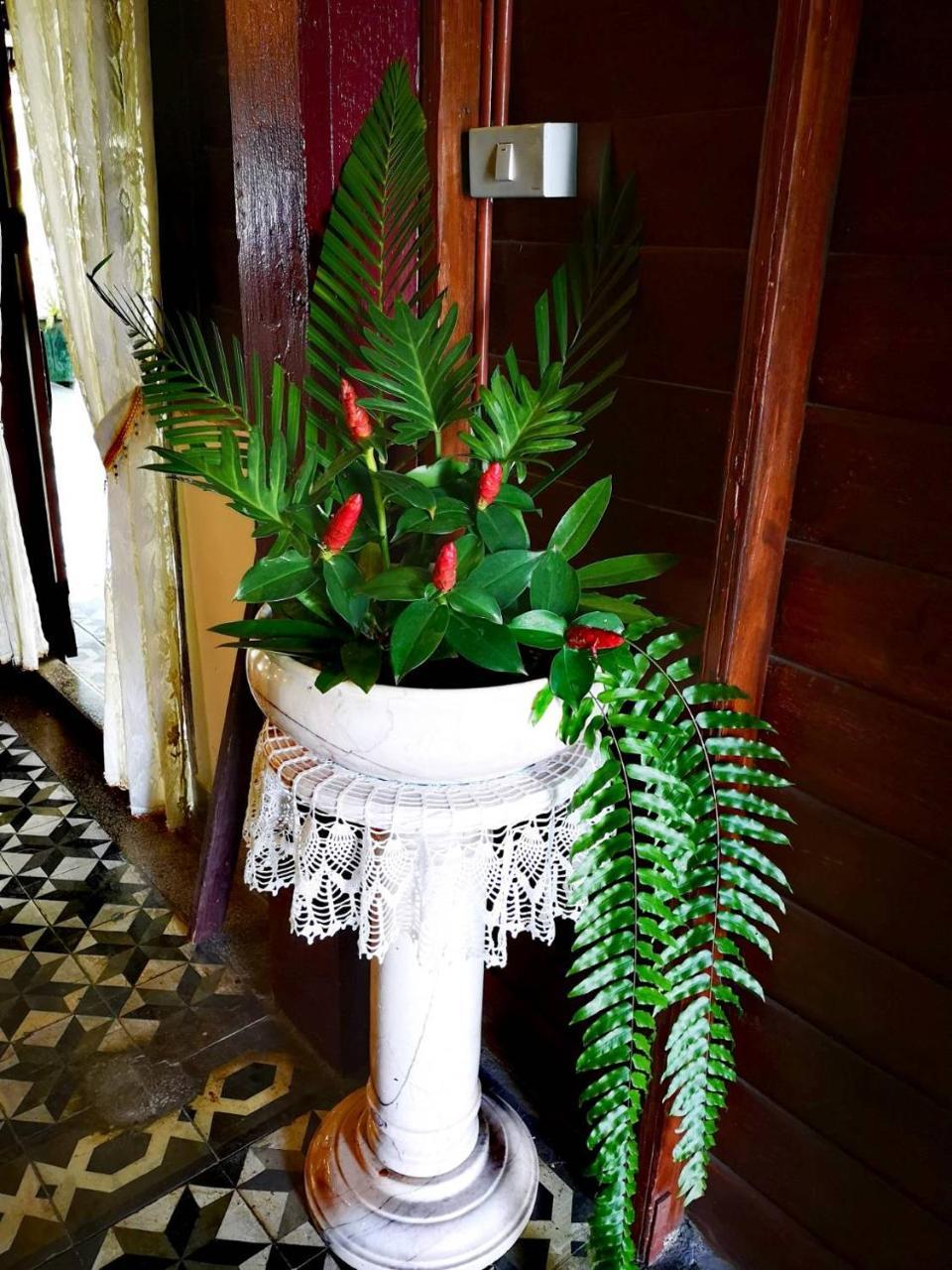 Baan Sithepaban Guesthouse Phitsanulok Ngoại thất bức ảnh